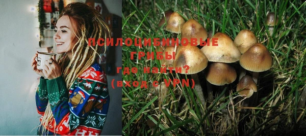 PSILOCYBIN Магас