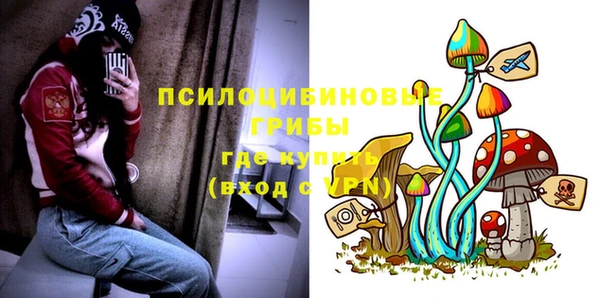 PSILOCYBIN Магас