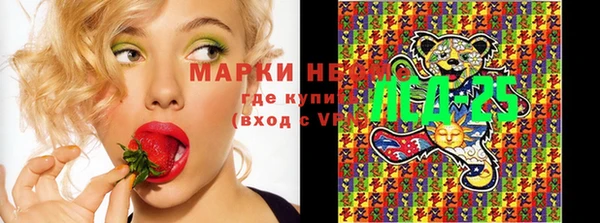 ПСИЛОЦИБИНОВЫЕ ГРИБЫ Майский