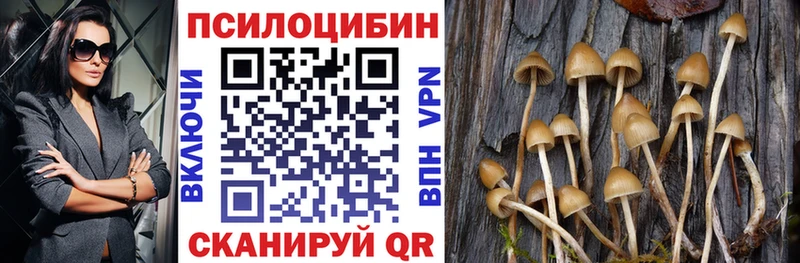 Псилоцибиновые грибы мицелий  где продают   Каменск-Шахтинский 