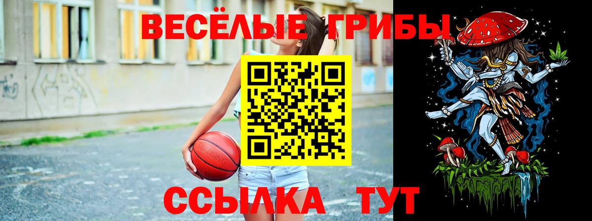 Псилоцибиновые грибы ЛСД  Каменск-Шахтинский  продажа наркотиков  Псилоцибиновые грибы мицелий 